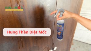 Chống mốc cho nhà ở