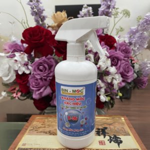 Chống mốc cho tủ quần áo