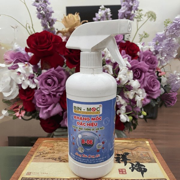 Chống mốc cho tủ quần áo