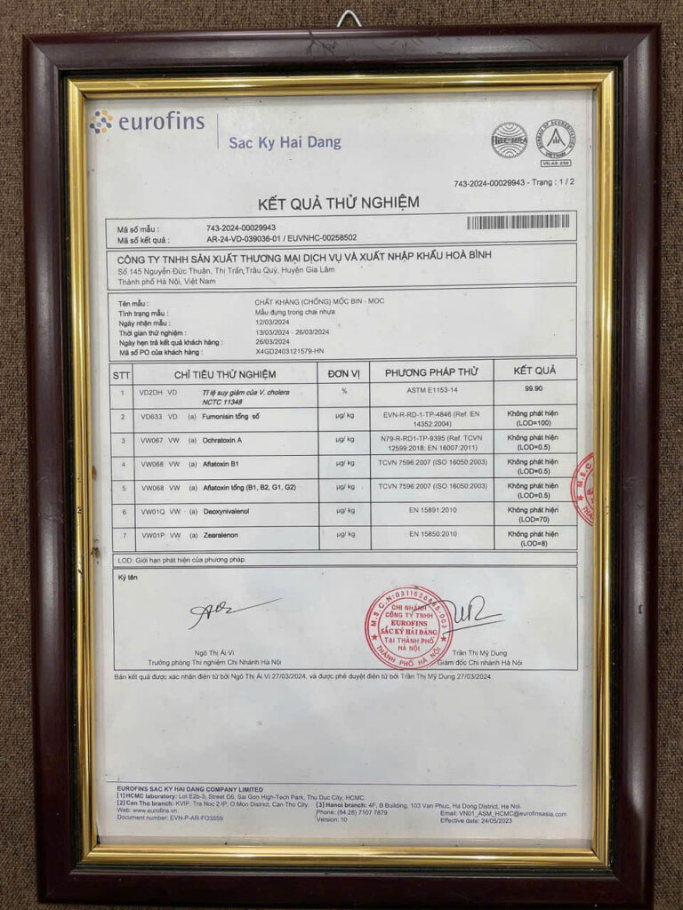 Chống mốc cho nhà tắm