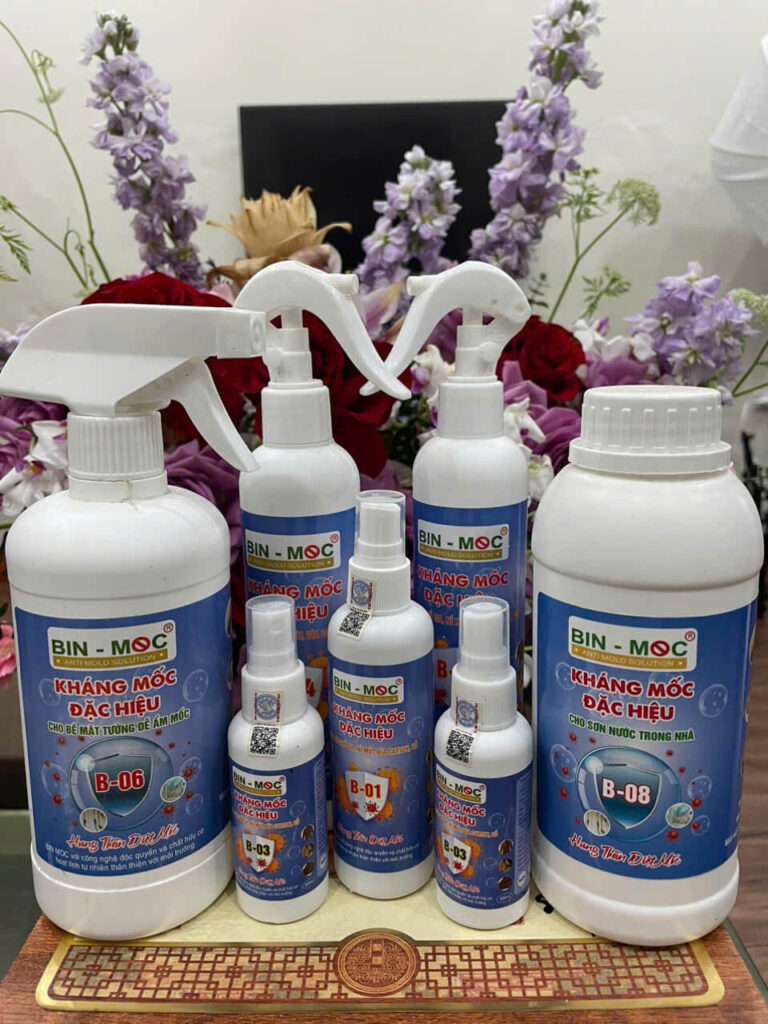Chống mốc cho nhà tắm 