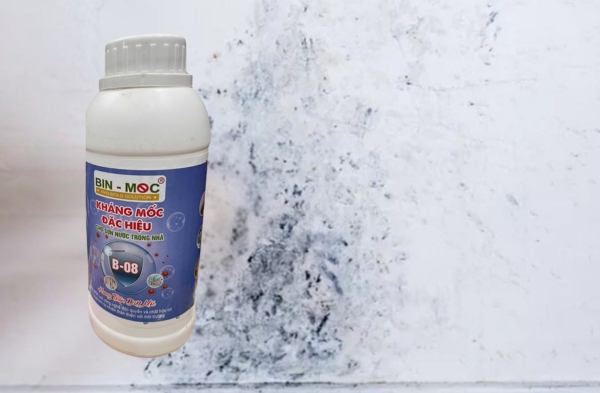 Chống mốc cho nhà tắm