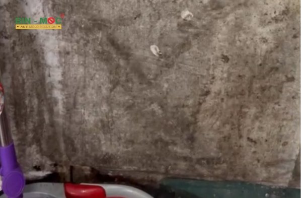 Chống mốc cho cầu thang bộ