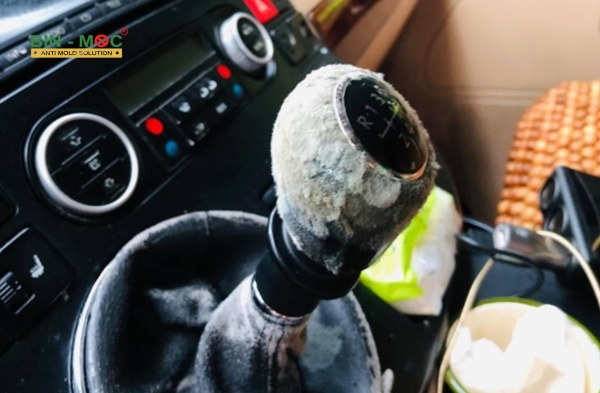 chống mốc cho xe ô tô 