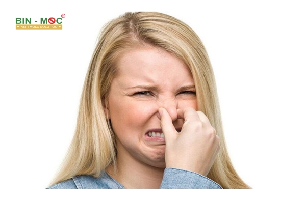 Chống mốc cho tủ bếp 