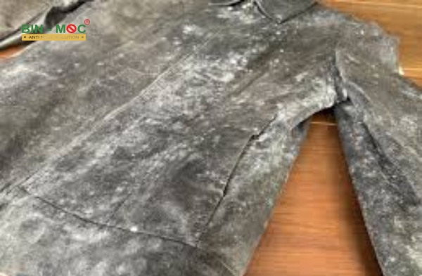 Chống mốc cho áo da
