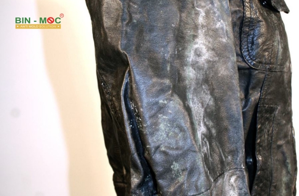 Chống mốc cho áo da